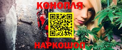 тгк Гусев