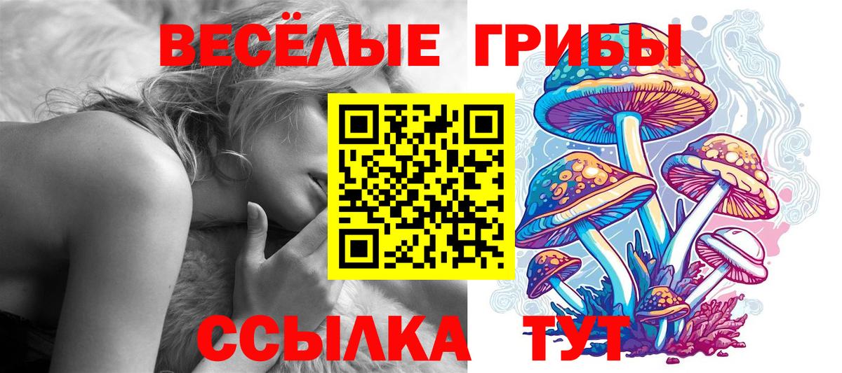 Галлюциногенные грибы MAGIC MUSHROOMS  Вход с VPN  Псилоцибиновые грибы GOLDEN TEACHER  Ефремов 