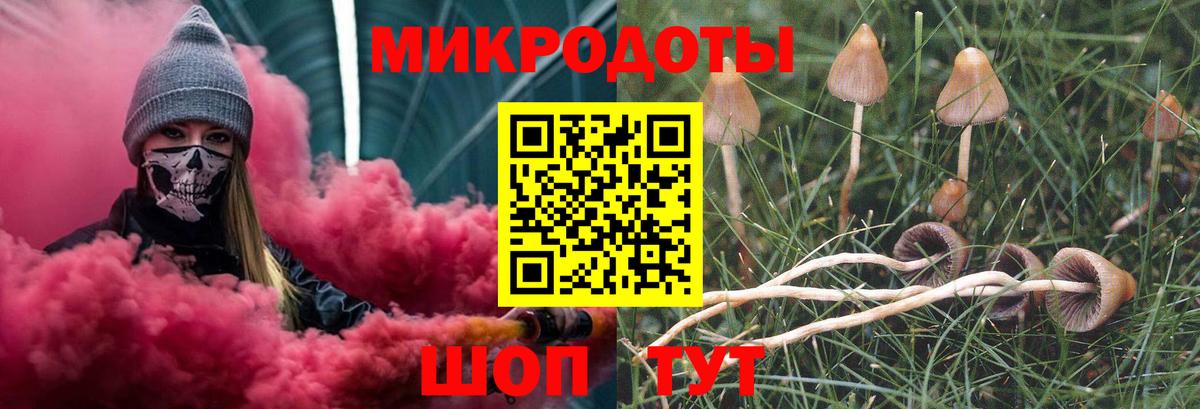 Псилоцибиновые грибы Psilocybine cubensis  Ефремов  Псилоцибиновые грибы ЛСД 